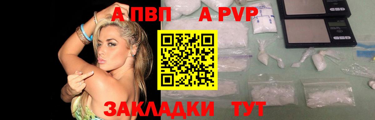 Alfa_PVP СК Гудермес
