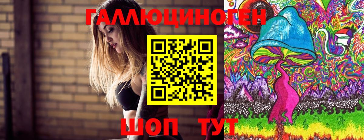 Псилоцибиновые грибы Psilocybe Гудермес