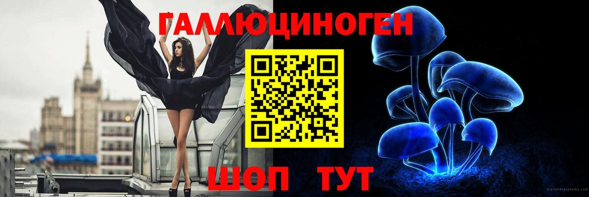 Гудермес  Галлюциногенные грибы Cubensis  Вход с VPN 